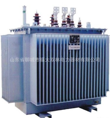 【批量提供高质量的SH15-M-200/10 200KVA油浸式电力变压器】价格,厂家,图片,电力变压器,山东省聊城市福大双林电力器材-